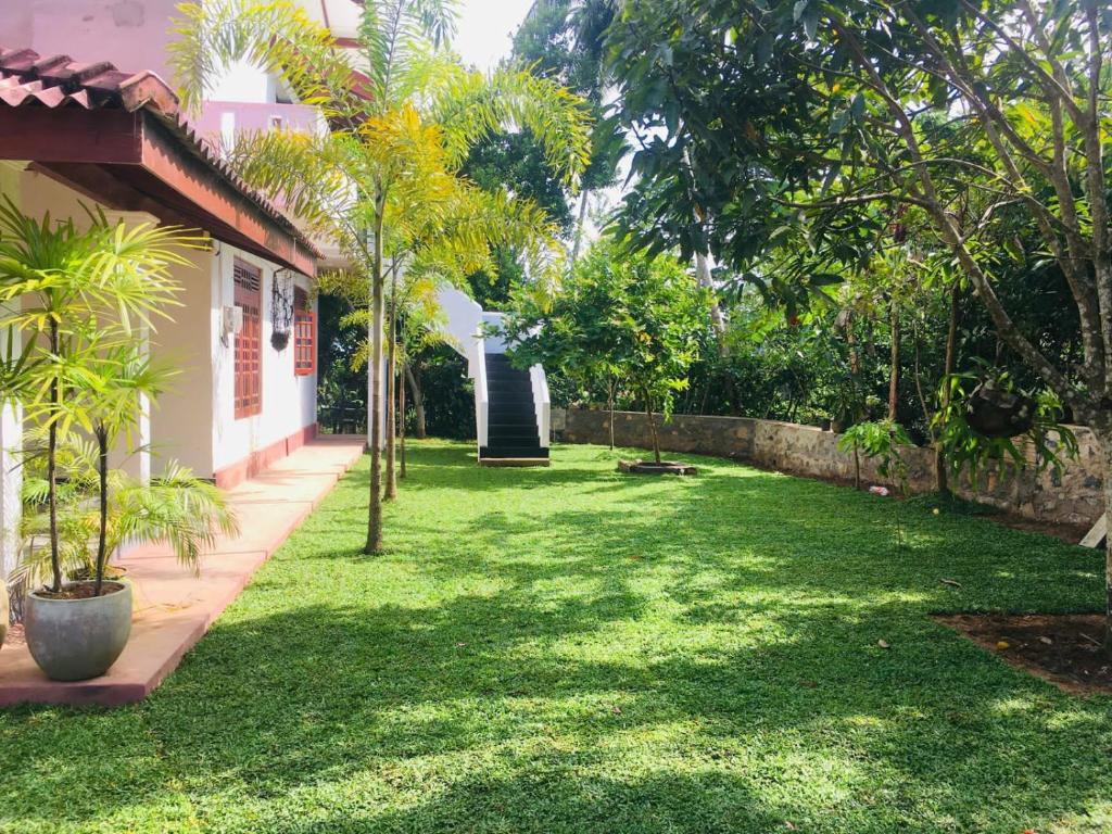 Tropical garden lawn and palms